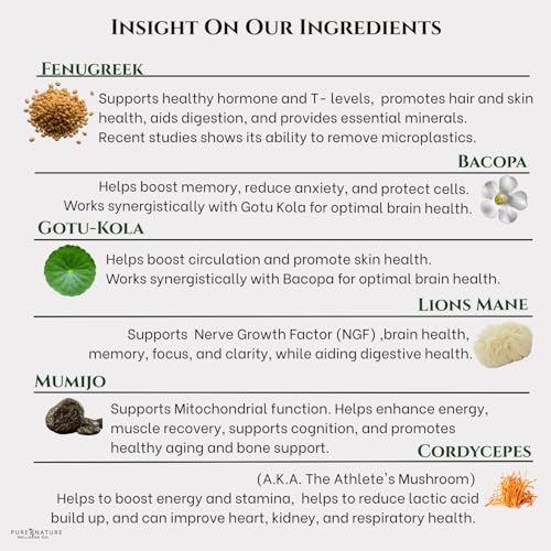 Focus + Energy + Performance Support-6-in-1 Mushroom Nootropic & Mitochondrial Complex-Advanced Brain Supplement-Natural Energy-Caffeine Free Biohack with Lion’s Mane,Cordyceps,Mumijo,Fenugreek